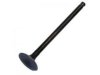 NISSAN 1320253Y00 Exhaust Valve
