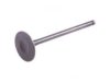 INTERAMERICAN MOTOR CORPORATION 13201F6511 Intake Valve