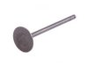 NISSAN 1320157Y00 Intake Valve