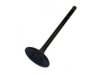 INTERAMERICAN MOTOR CORPORATION 13201AA361 Intake Valve