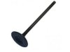 INTERAMERICAN MOTOR CORPORATION 14711P13000 Intake Valve