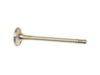 BECK/ARNLEY  0213565 Exhaust Valve