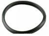 BECK/ARNLEY  0390104 Thermostat / Thermostat Housing / Water Outlet Seal