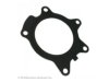  0394181 Water Pump Gasket