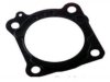  0395009 Throttle Body Gasket