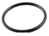 INTERAMERICAN MOTOR CORPORATION 18393SH3S00 Pipe Flange Gasket / Seal