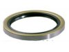 SKF (CHICAGO RAWHIDE) 25968 Wheel Seal