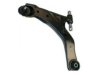 HYUNDAI 545002C602 Control Arm
