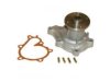 BECK/ARNLEY  1312008 Water Pump