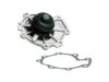 BECK/ARNLEY  1312244 Water Pump