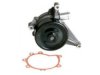 JAGUAR AJ811935 Water Pump