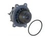 BECK/ARNLEY  1312281 Water Pump