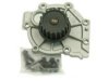 BECK/ARNLEY  1312335 Water Pump