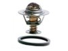 GENERAL MOTORS CORP. 12557859 Thermostat