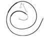 RAYBESTOS  BC93920 Parking Brake Cable