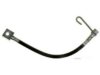 RAYBESTOS  BH382494 Hydraulic Hose