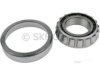 OPEL 2541049 Differential Bearing
