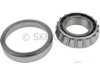 LUK(USA) BR30208 Differential Bearing