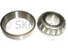 OEM 30185209 Differential Pinion Bearing