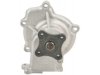 BOSCH  96096 Water Pump