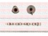 FAI  C299 Camshaft