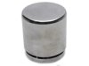 RAYBESTOS  DPS85388 Caliper Piston