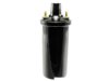 BECKARNLEY 1788101 Ignition Coil