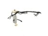 DELPHI  FG0019 Fuel Pump
