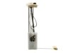 DELPHI  FG0122 Fuel Pump