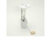 DELPHI  FG0175 Fuel Pump