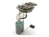 DELPHI  FG0410 Fuel Pump