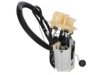 DELPHI  FG1252 Fuel Pump