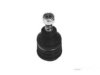 Airtex FIBJ3118 Ball Joint