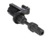 DELPHI  GN10538 Ignition Coil