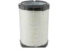 HASTINGS FILTERS  AF1365 Air Filter