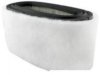HASTINGS FILTERS  AF994 Air Filter
