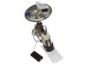 DELPHI  HP10154 Fuel Pump