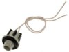GENERAL MOTORS 88860577 License Plate Lamp Socket