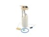 OEM 19180107 Fuel Pump