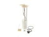 OEM 19177242 Fuel Pump