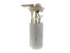 OEM 19180120 Fuel Pump