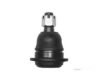Airtex NIBJ0182 Ball Joint