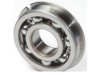 NATIONAL  306L Transfer Case Idler Shaft Bearing