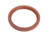 NATIONAL  229010 Crankshaft Seal