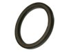 GENERAL MOTORS 12552219 Crankshaft Seal