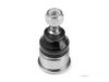 Airtex ROBJ3548 Ball Joint