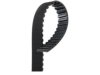 VOLKSWAGEN 068109119E Timing Belt
