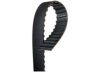 OEM 1649171 Timing Belt