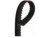 BECKARNLEY 0260309 Timing Belt