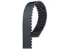 KIA 243122Y000 Timing Belt